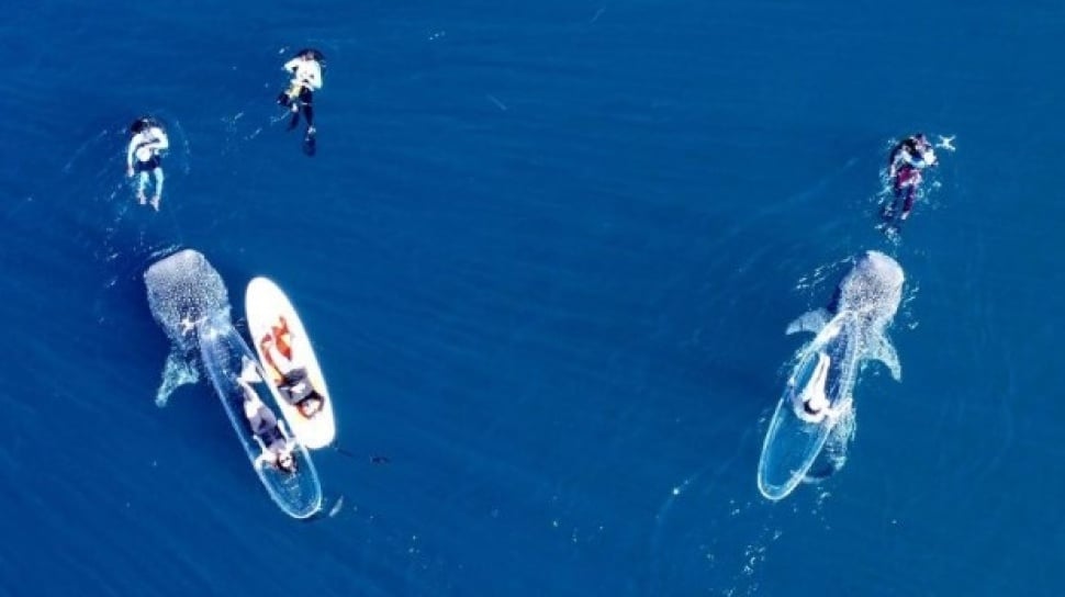 Mengungkap Kesalahan Fatal Dalam Wisata Pantai Agar Lebih Konsisten Panduan Lengkap Untuk Liburan Impian