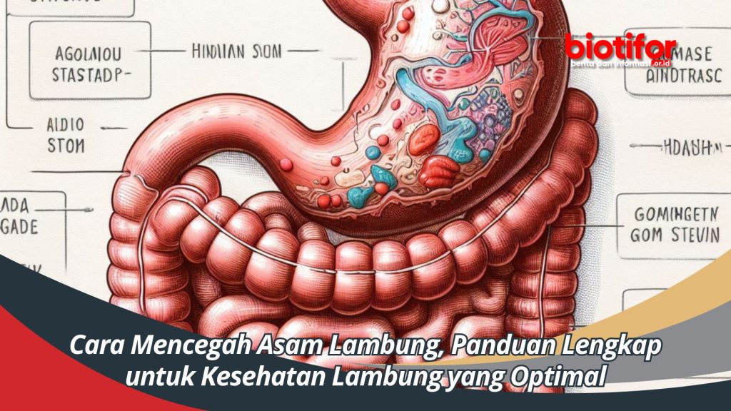 Tips Menjaga Asam Lambung Tetap Optimal Panduan Lengkap Untuk Pencernaan Sehat